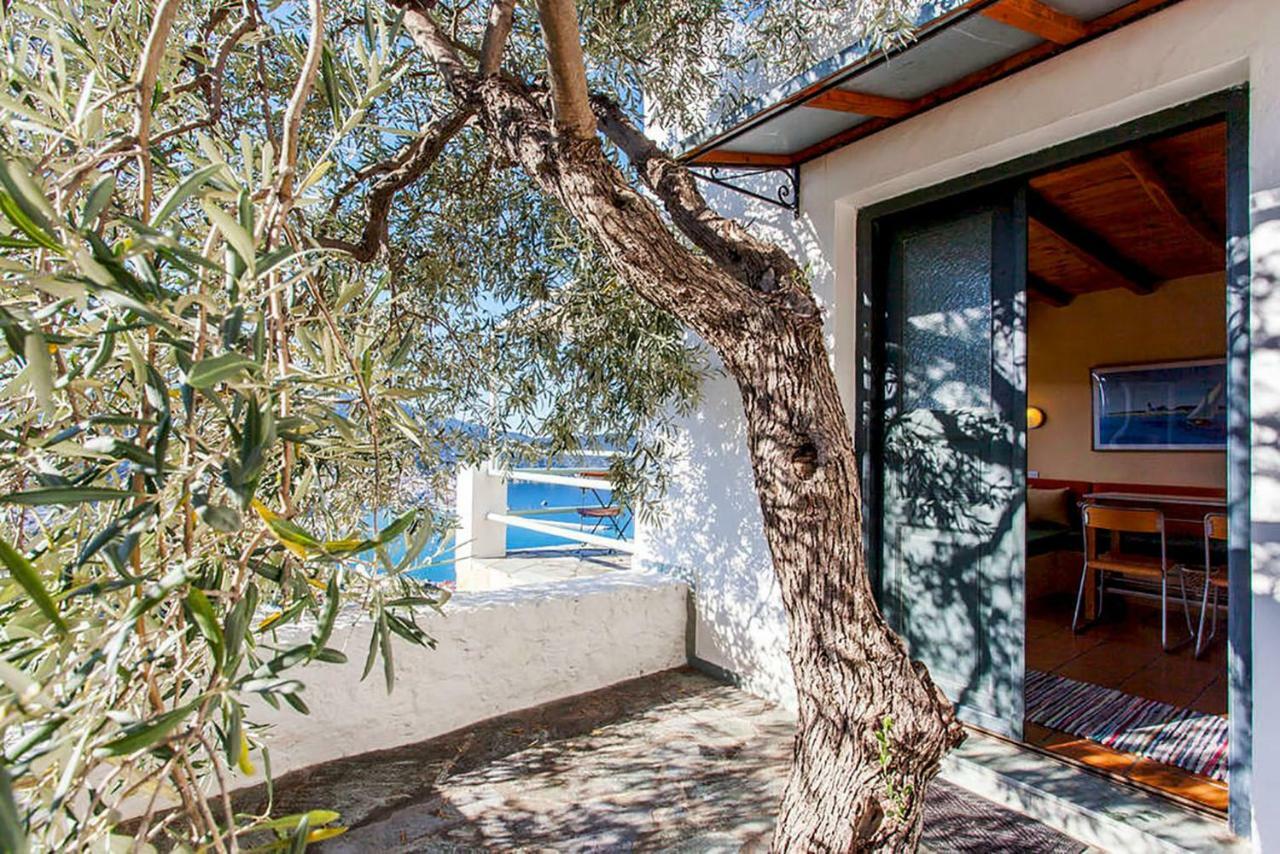 Villa Kalypso And Villa Kirki Skopelos Extérieur photo